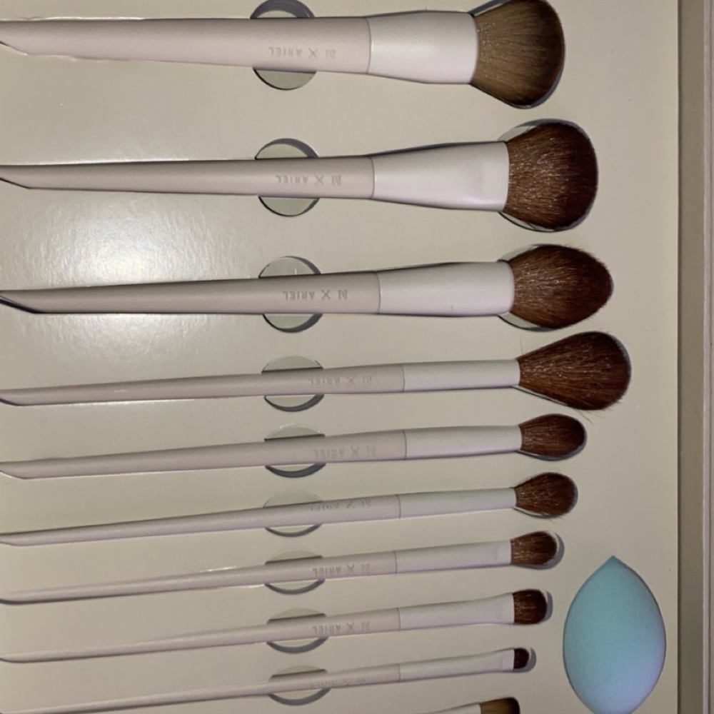 Ariel morphe brushes